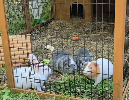 6c9676d9b84de367c62a3d9db49f711d (1)