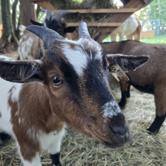 08c1caed5cf486be7ee57867ebfc6773 (2)