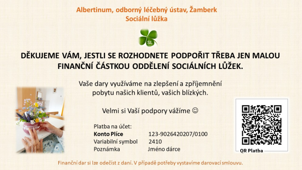 plicní konto 2410