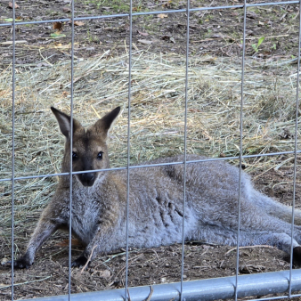 6b1c54a18cf0aad1118b019931a89872