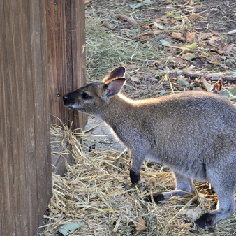 6b480fecd41b103c7a70fb064869800f