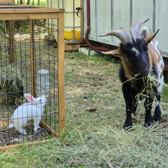 e9dd41b65150ad239cc36874d1e65fe4